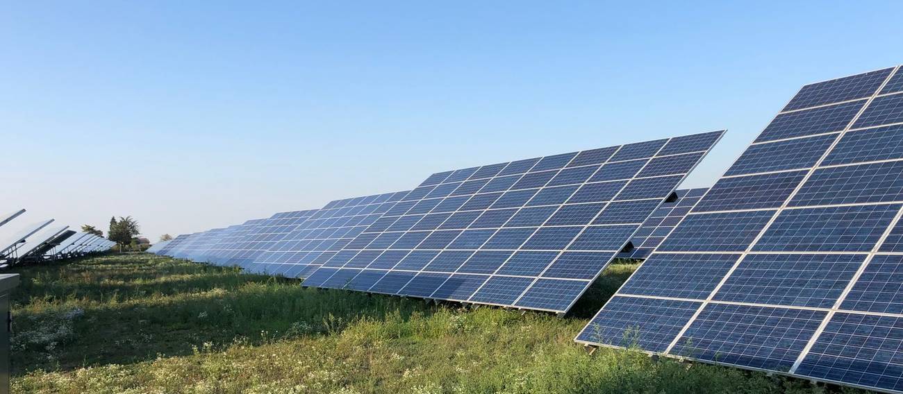 Hoch aufgewachsener Bewuchs an den Modulreihen einer Solaranlage